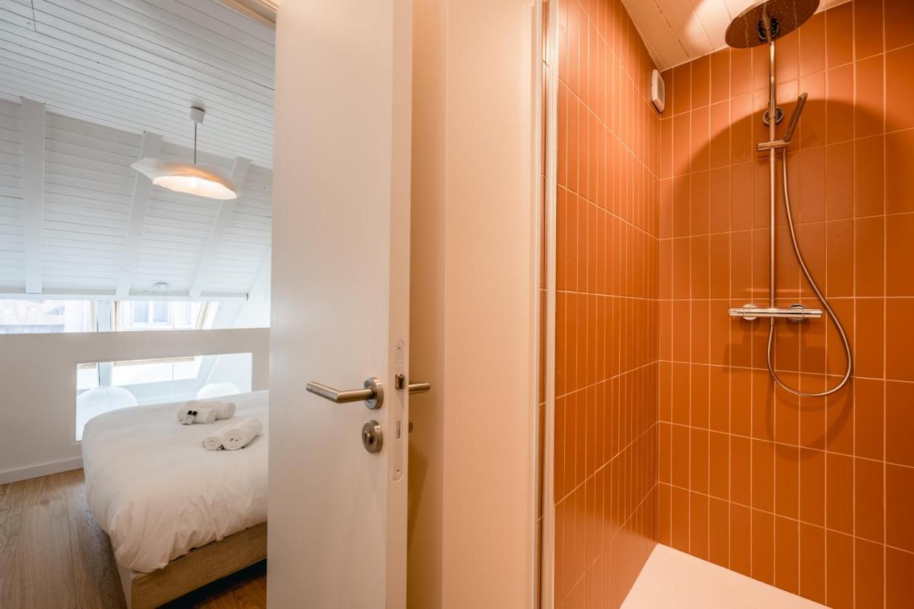 Le Duplex Vaugelas Atypique En Plein Centre Appartement